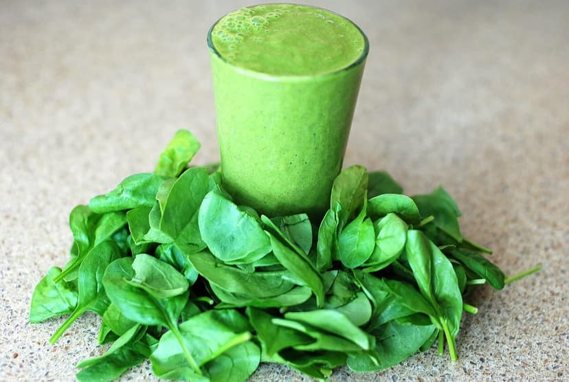 500 Bloomsdale Spinach Seeds - Heirloom Non-GMO USA Grown - for Use Indoors, Outdoors, or with Hydroponics by RDR Seeds