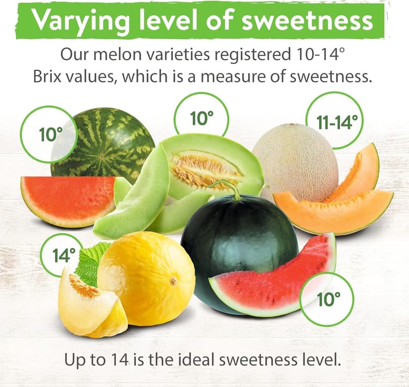 HOME GROWN Melon Seeds Variety Pack – 5 𝗡𝗢𝗡-𝗚𝗠𝗢 Heirloom Fruit Seeds: Watermelon, Cantaloupe, Honeydew, Sugar Baby & Melon – High Germination 𝗨𝗦𝗔 for Planting Home Garden Indoors.