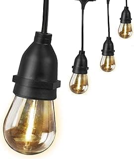 Feit Electric LED String Lights, 20ft Commercial Grade and Shatter Resistant String Lights with 10 Outdoor Sockets, Linkable, 15,000-Hour Lifetime, Wet Rated, SL20-10/FIL, 12 Bulbs Included