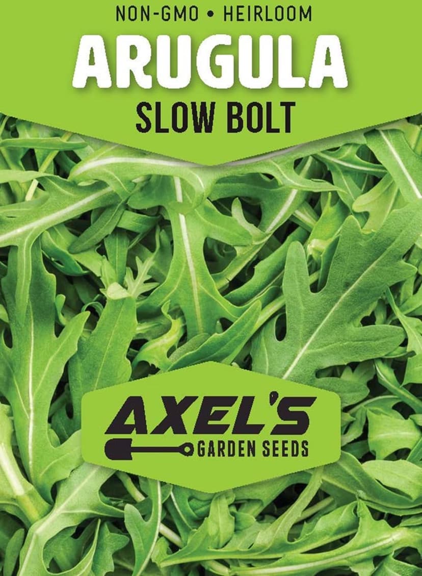 Slow Bolt Arugula Seeds for Planting Heirloom Non-GMO Arugula – Plant & Grow Slow Bolt Arugula Seed Packets in Home Herb Outdoor/Indoor Hydroponic Garden, Great Gardening Gift – 1 Packet 250 Seeds