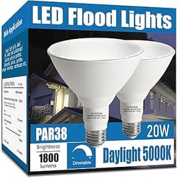 The 11 best outdoor flood lights of 2025