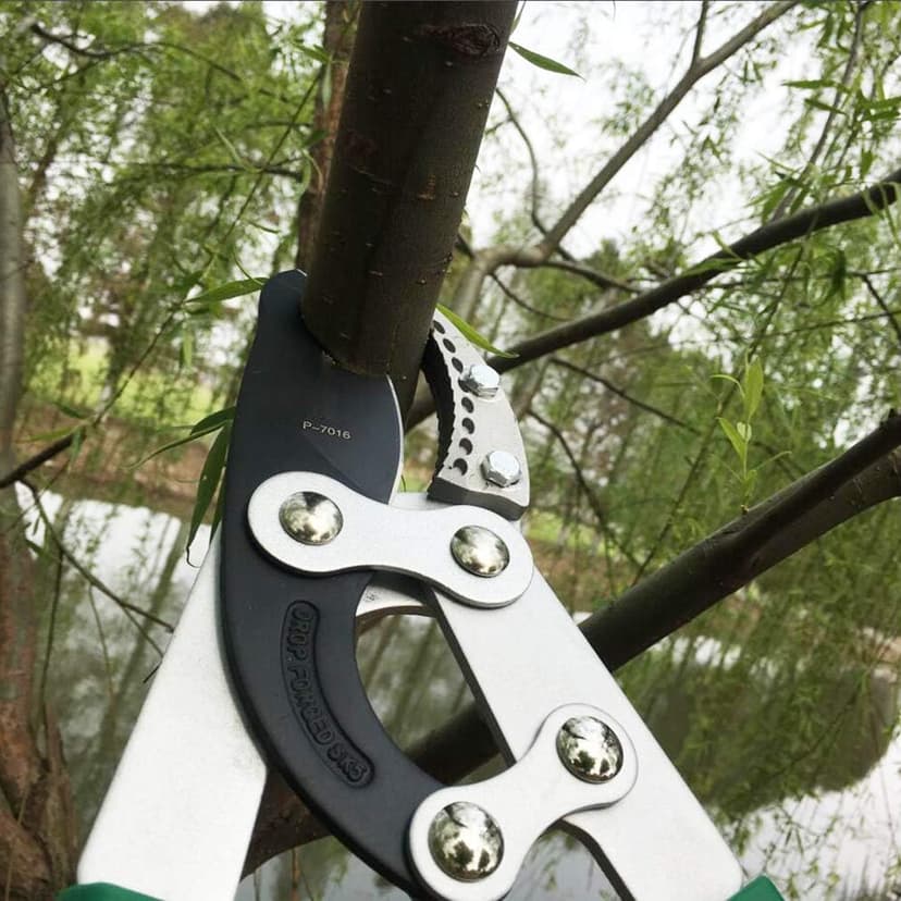 SK5 High-Performance Compound Action Anvil Lopper,Chops Thick Branches with Ease,2 Inch Cutting Capacity,28inch-40inch Telescoping Lopper, Tree Trimmer with Sturdy&Comfortable handle(A）