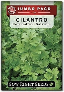 Sow Right Seeds - Bulk Cilantro Seeds for Planting - 1 Ounce, 2000 Seeds - Non-GMO Heirloom Jumbo Pack with Instructions to Grow an Herb Garden - Great for Cooking - Make Loads of Coriander Seasoning