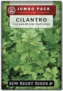 Sow Right Seeds - Bulk Cilantro Seeds for Planting - 1 Ounce, 2000 Seeds - Non-GMO Heirloom Jumbo Pack with Instructions to Grow an Herb Garden - Great for Cooking - Make Loads of Coriander Seasoning