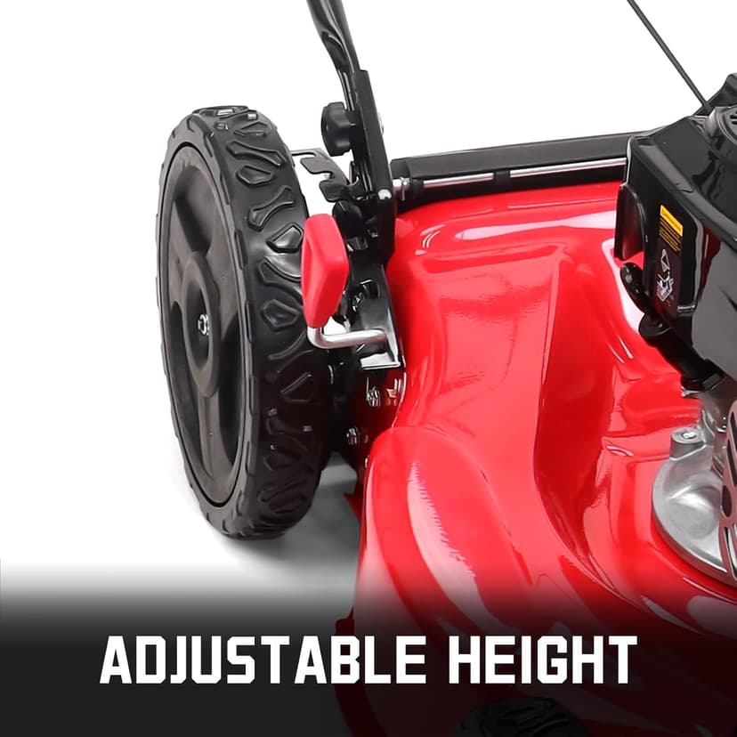 PowerSmart 21 in. Gas Lawn Mower with 125cc Briggs and Stratton E300 Engine, 2-in-1 Push Mower with Mulching & Side-Discharge