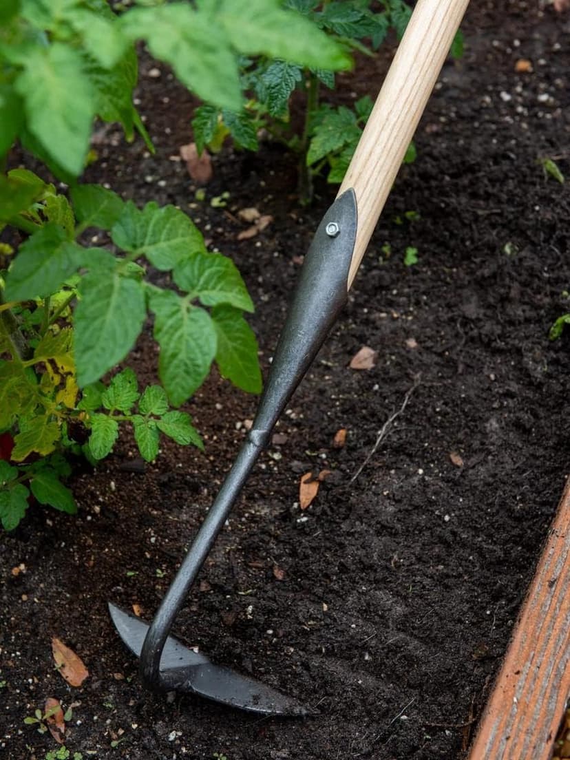 Gardener's Supply Company Supply Lifetime Half-Moon Hoe, Heavy Duty Forged Steel with Ergonomic Hardwood Handle, Gardening Hand Tool for Weeding and Loosening Soil