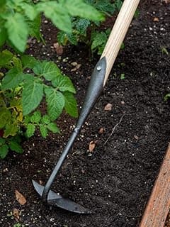 Gardener's Supply Company Supply Lifetime Half-Moon Hoe, Heavy Duty Forged Steel with Ergonomic Hardwood Handle, Gardening Hand Tool for Weeding and Loosening Soil
