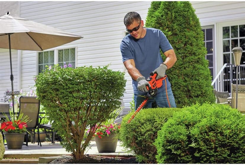 BLACK+DECKER Electric Hedge Trimmer, 17-Inch (BEHT150)