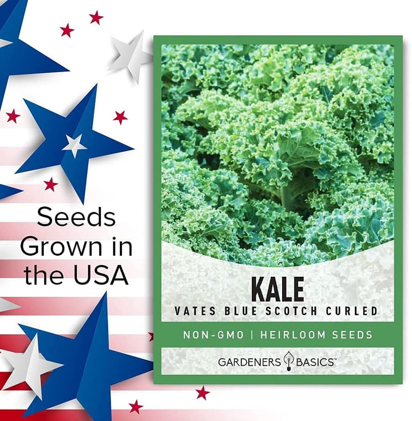 Gardeners Basics, Kale Seeds for Planting, Heirloom, Non-GMO Vegetable Variety - Great for Indoor, Outdoor, and Hydroponics Gardening (Vates Blue Scotch Curled)