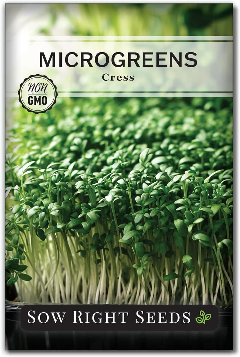 Sow Right Seeds - Cress Microgreen Seed for Growing - Instructions to Quickly Grow Delicious and Healthy Microgreens - Plant Indoors with no Special Equipment - Super Easy Superfood Sprouts