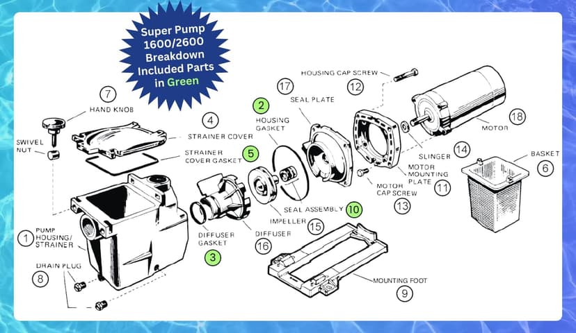 KitKing - SPX1600TRA Super Pump Seal Replacement for Hayward Go Kit 3. Fits SP1600, SP2600 in Regular, X, VSP Models. SPX1600TRA SP1600Z2 PS-201 SPX1600R SPX1600S SPX1600T Pool