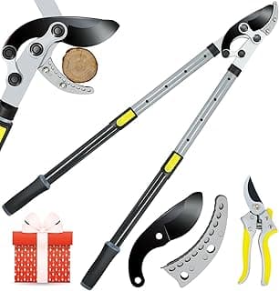 JARDINEER 3PCS Extendable Anvil Loppers Shears Set, Branch Cutters Heavy Duty with 2 Inch Clean Cut Capacity, 28-38.5" Telescopic Tree Trimming Long Handle with SK5 Spare Blade