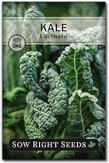 Sow Right Seeds - Lacinato Kale Seed for Planting - Non-GMO Heirloom Packet with Instructions to Plant a Home Vegetable Garden - Very Nutritious Superfood, Grow This Dinosaur Variety (1)