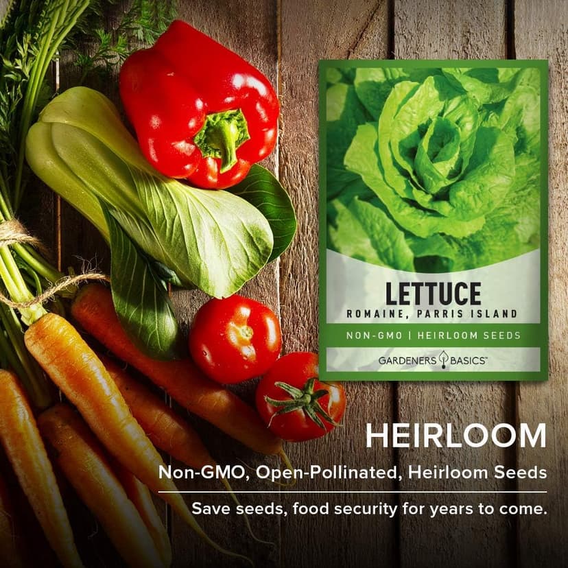 Gardeners Basics, Romaine Lettuce Seeds for Planting - Parris Island Cos Heirloom, Non-GMO Vegetable Variety- 2 Grams Seeds Great for Spring, Summer, Fall, Winter Garden and Hydroponics