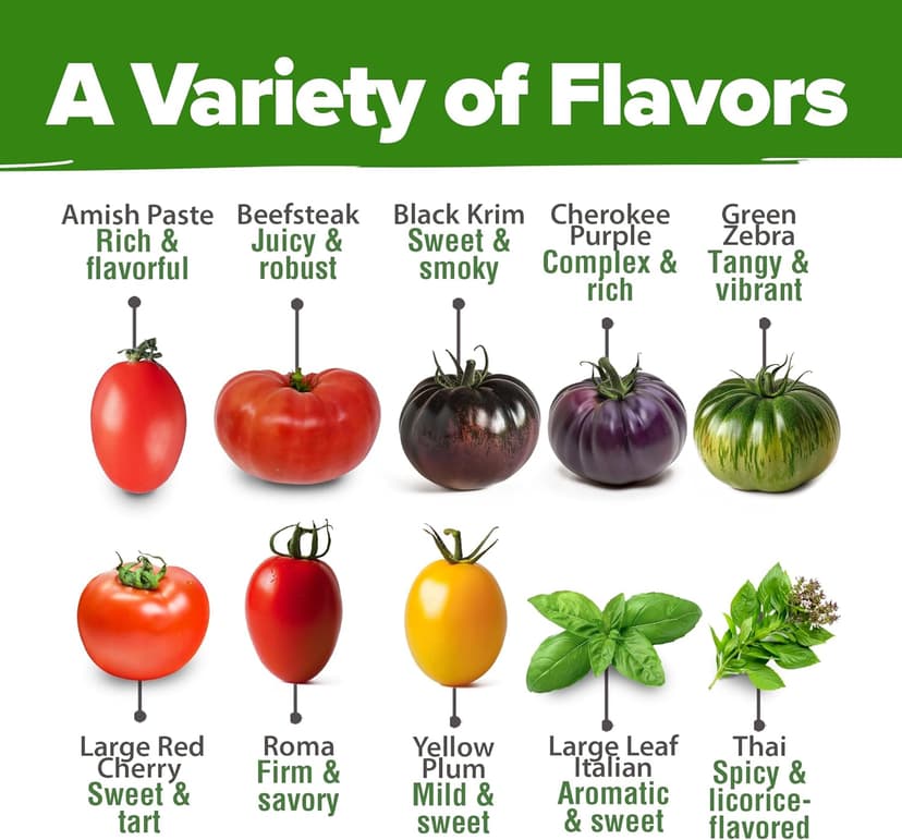 HOME GROWN Heirloom Tomato Seeds for Planting (10pk) w/Basil Seeds, 100% Non-GMO Tomatoes: Cherry, Roma, Beefsteak, Zebra, Yellow Plum, Amish Paste, Cherokee, Krim, Italian Basil, Thai Basil Seed