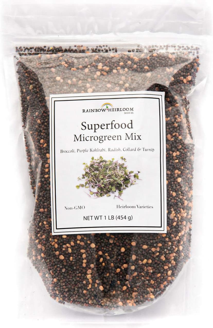 Superfood Microgreen Seeds Mix | for Microgreens Growing Trays | 1 LB | Heirloom Non GMO Purple Kohlrabi, Collard, Radish, Turnip & Broccoli Sprouts Seeds | Rainbow Heirloom Seed Co.