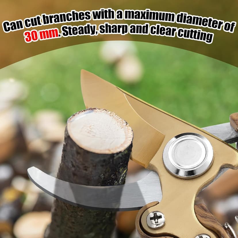 Lothee Japanese Gardening Scissors Made in Japan, Carbon Steel Flower Pruning Shears Heavy-duty Gardening Scissors, for Pruning Plants