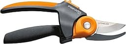 The 12 best pruning shears for arthritic hands of 2025