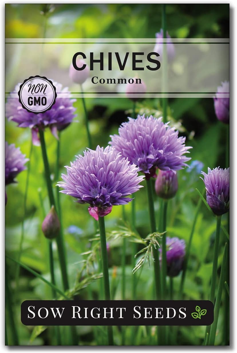 Sow Right Seeds - Common Chives Seed for Planting - Non-GMO Heirloom Packet with Instructions to Plant and Grow Kitchen Herb Garden Indoor or Outdoor - Mild Onion Flavor (1)