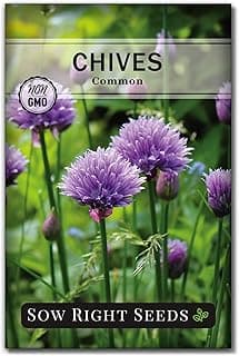 Sow Right Seeds - Common Chives Seed for Planting - Non-GMO Heirloom Packet with Instructions to Plant and Grow Kitchen Herb Garden Indoor or Outdoor - Mild Onion Flavor (1)