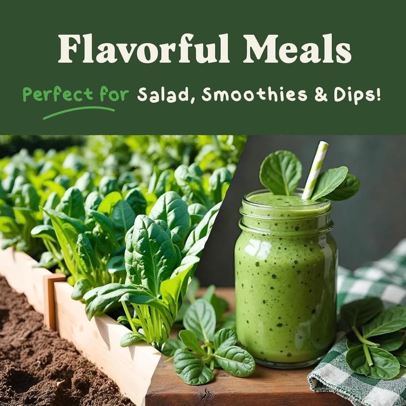 Organic Spinach Seeds for Indoor Gardening or Planting Outdoors, Non-GMO and USDA Certified Vegetable Seed Packets, 350 Seeds/4 Grams (Bloomsdale Spinach)