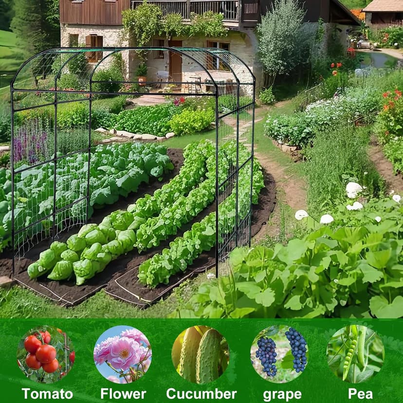 Garden Arch Trellis for Climbing Plants Outdoor, Grape Vine Tomato Bean U Frame Plant Vegetable Support, Cucumber Pergola for Backyard, Black