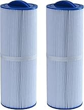 Malaka 2-pack 200702 Spa Filter Cartridge compatible with filter PWW50L 4CH-949 FC-0172 hot tubs filter cartridge replacement