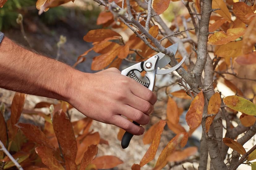 Fiskars Forged Steel Bypass Pruner - Ultra-Durable, Ergonomic Design for Comfortable Use while Gardening - Cut and Prune Stems and Light Branches up to ¾” diameter - 375 Years of Quality