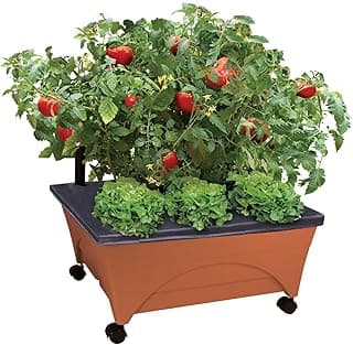 City Picker Raised Bed Grow Box – Self Watering and Improved Aeration – Mobile Unit with Casters