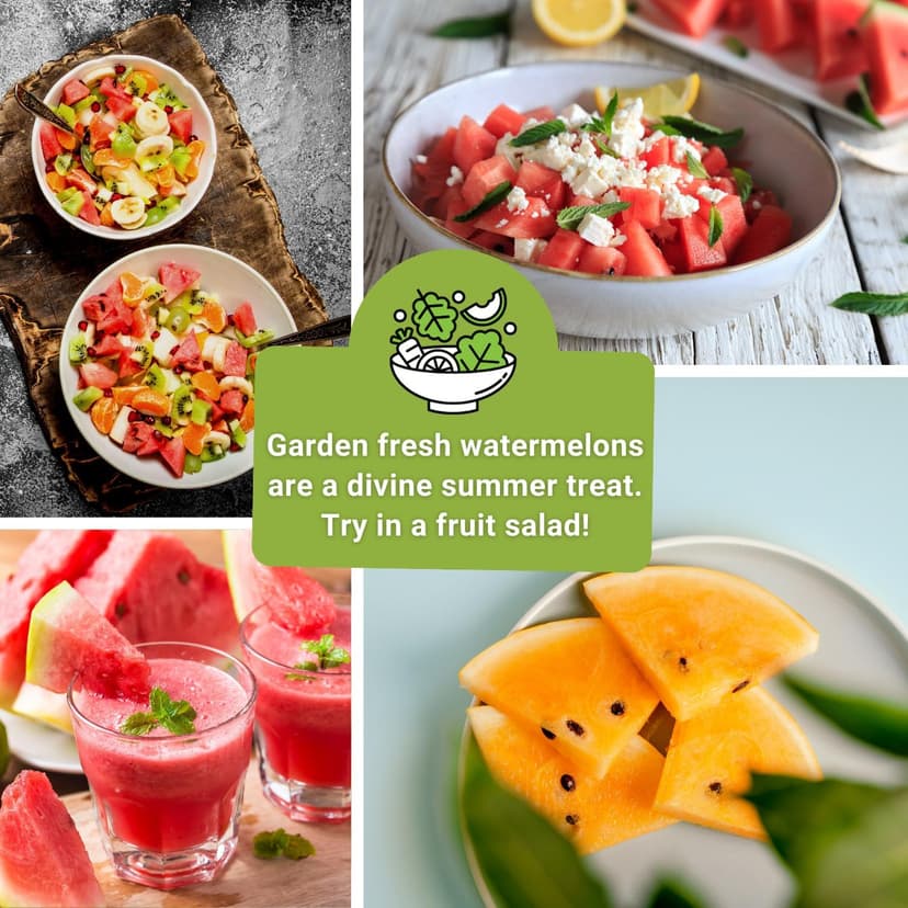 Sow Right Seeds - Watermelon Fruit Seeds Collection for Planting - Crimson Sweet, Allsweet, Sugar Baby, Tendersweet, and Orangeglo Melons - Non-GMO Heirloom Seeds to Plant a Home Vegetable Garden