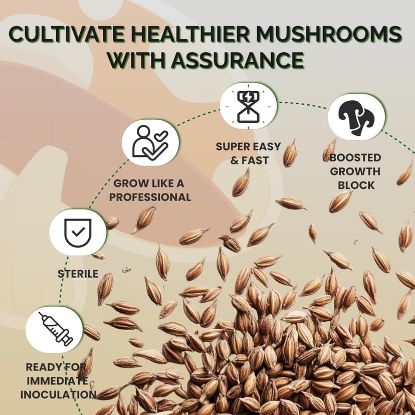 Mushroom Growing Kit with Injection Ports | Sterilized Rye Grain | Magic Indoor Grow Bags for Mushrooms | Home Cultivation Supplies | Without Spores | 1 Pound (6 Pack)