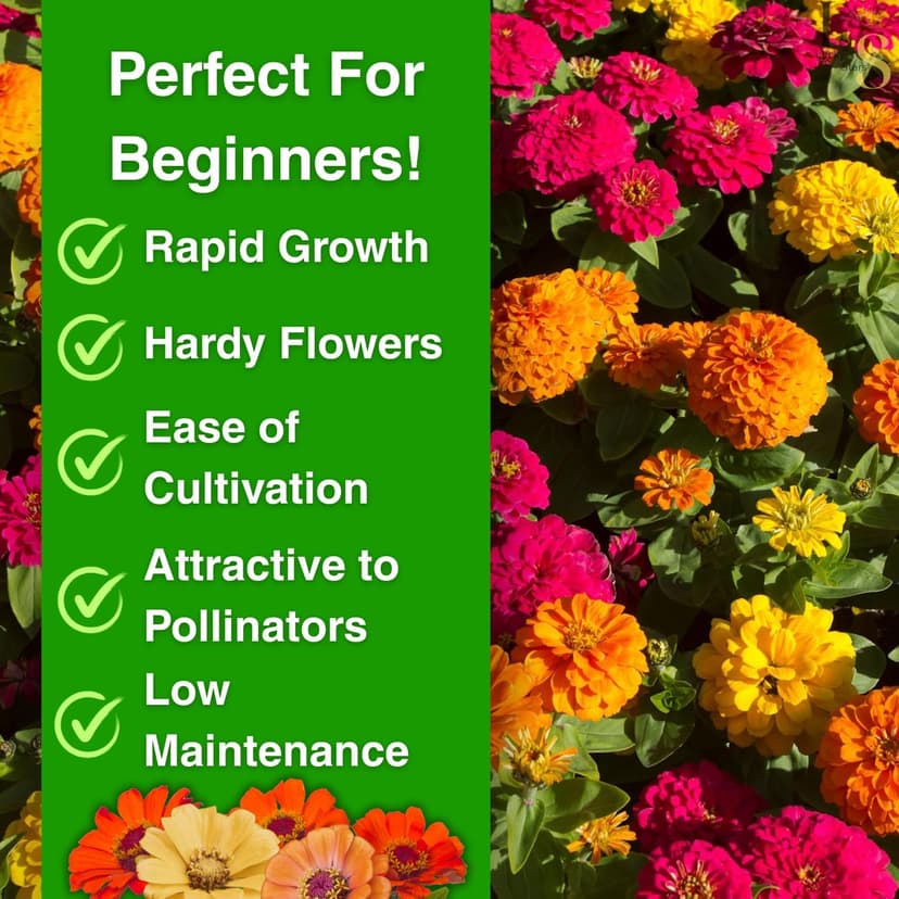 1200+ Crazy Blend Zinnia Seeds for Planting, Heat & Drought Tolerant, Zinnia Elegans Lilliput Seeds, Garden Cut Flower Mix, Non GMO, Untreated Mixed Color Zinnia Flowers