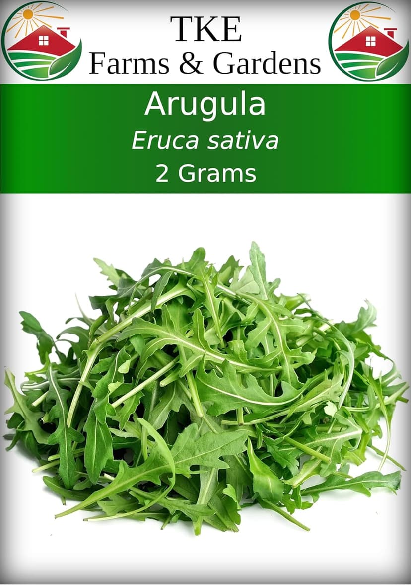 Arugula Seeds for Planting, Slow Bolt, 800+ Heirloom, Non-GMO Vegetable Seeds, Grow Peppery Greens Indoors or Outdoors, Perfect for Microgreens, Includes Instructions, Qty 1