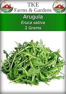 Arugula Seeds for Planting, Slow Bolt, 800+ Heirloom, Non-GMO Vegetable Seeds, Grow Peppery Greens Indoors or Outdoors, Perfect for Microgreens, Includes Instructions, Qty 1