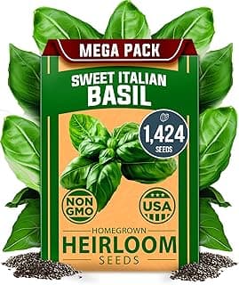 HOME GROWN Italian Basil Seeds (Bulk Pack) 1424 Sweet Large Leaf Basil Seeds for Planting,𝗡𝗢𝗡-𝗚𝗠𝗢,𝗨𝗦𝗔-𝗦𝗢𝗨𝗥𝗖𝗘𝗗 and Heirloom Herb Seeds for Planting Indoors or Outdoors(Ocimum basilicum)