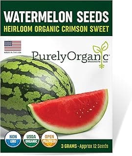 Organic Watermelon Seeds (Crimson Sweet) - Approx 12 Seeds - USDA Organic, Non-GMO, Open Pollinated, Heirloom, USA Origin