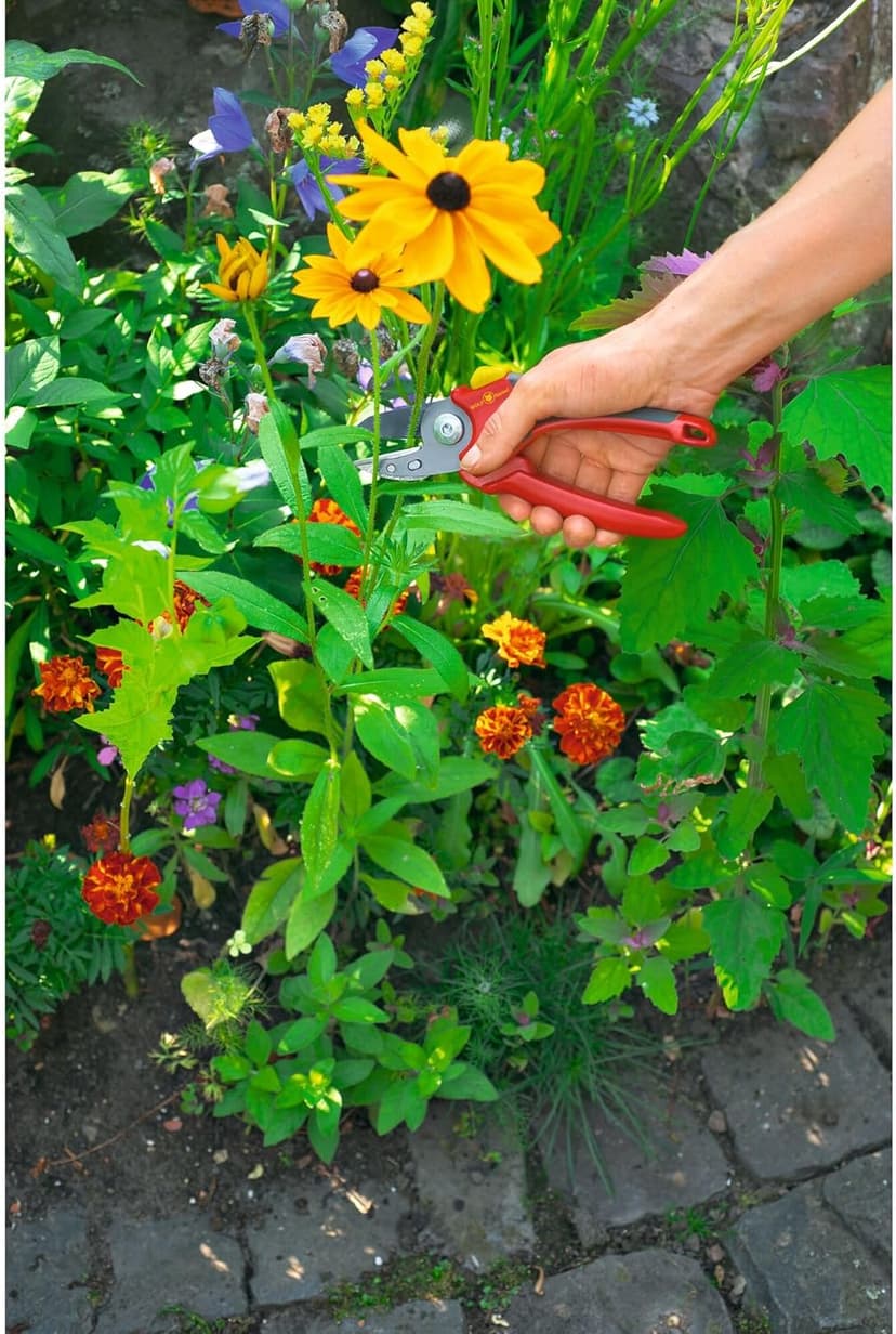 WOLF Garten Anvil Secateurs (RS2500)