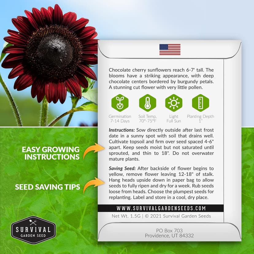 Survival Garden Seeds Chocolate Cherry Sunflower Seed for Planting - Packet with Instructions to Plant & Grow Beautiful Flowers in Your Home Vegetable & Flower Garden - Non-GMO Heirloom Variety (1)