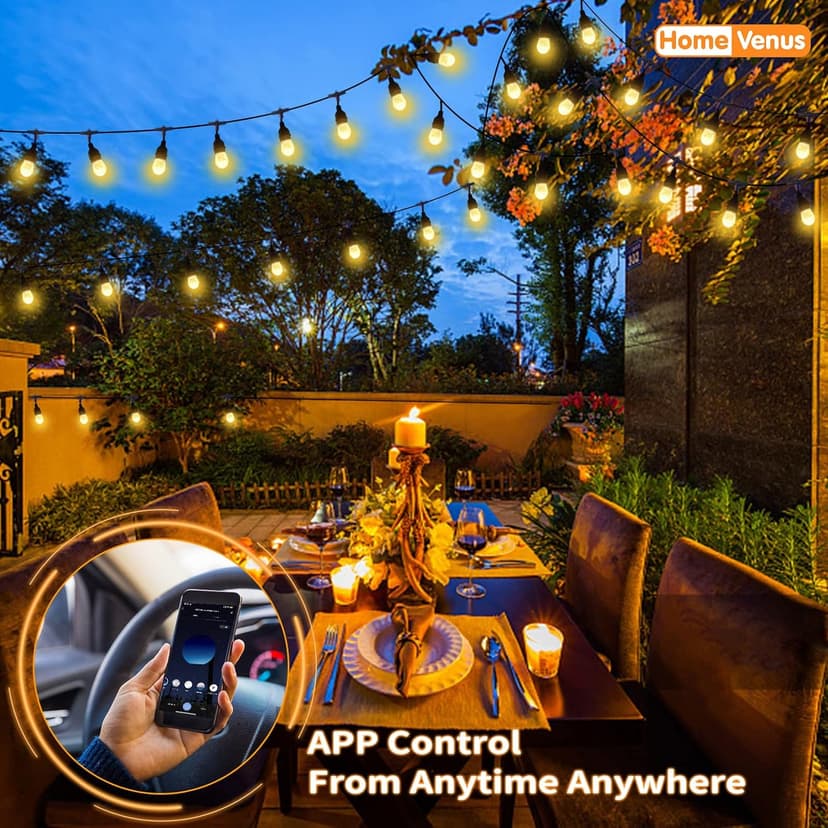 HVS Smart Outdoor String Lights LED 24Ft 12Bulbs Tunable Dimmable Warm White Waterproof Shatterproof Cafe Patio Lights,APP Control 2.4GHZ WiFi Alexa Google Balcony Backyard Porch(3 Core Wire, WW-24FT)