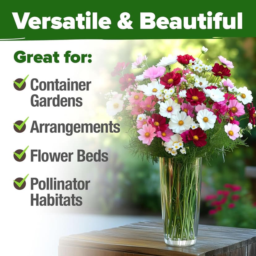 HOME GROWN Cosmos Flower Seeds Bulk Pack for 2025 (1.8 oz) 8,000+ 𝗡𝗢𝗡-𝗚𝗠𝗢 𝗨𝗦𝗔-𝗦𝗢𝗨𝗥𝗖𝗘𝗗 Heirloom Annual Wildflower Seeds – Pollinator-Friendly Mix for Pollinators & Outdoor Gardens