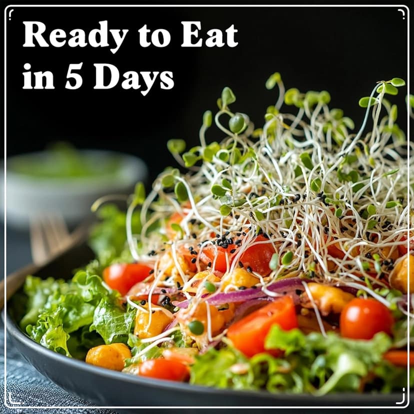 Organic Sprouting Seeds - Salad Blend Variety- Non-GMO, USA Grown Microgreens Mix - Alfalfa, Broccoli, Radish, Mung Bean, Lentil - Makes 8 Quarts of Sprouts, 24 Servings (8 oz) (Salad Blend)