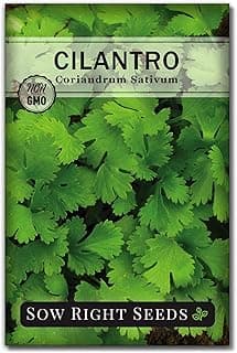 Sow Right Seeds - Cilantro Seeds for Planting - Non-GMO Heirloom Packet with Instructions to Grow a Kitchen Herb Garden - Great Addition to Your Cooking - Make Coriander Seasoning - Zesty Herb (1)