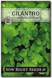 Sow Right Seeds - Cilantro Seeds for Planting - Non-GMO Heirloom Packet with Instructions to Grow a Kitchen Herb Garden - Great Addition to Your Cooking - Make Coriander Seasoning - Zesty Herb (1)