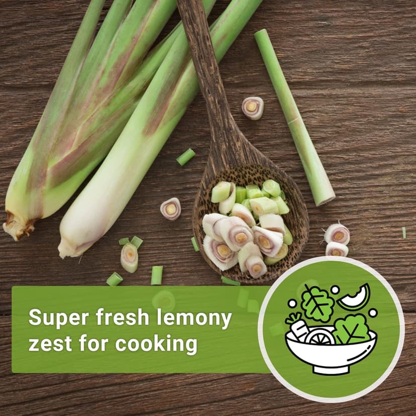 Sow Right Seeds - Lemon Grass Seed for Planting - Non-GMO Heirloom Packet with Instructions for Easy Planting and Growing an Herb Garden - Indoor or Outdoors - Delicious Culinary Herb (1)