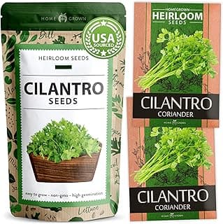 HOME GROWN 500+ Cilantro Seeds for Planting Indoors or Outdoors - Heirloom, 𝗡𝗢𝗡-𝗚𝗠𝗢,𝗨𝗦𝗔-𝗦𝗢𝗨𝗥𝗖𝗘𝗗 Coriander Seeds,Grow Your Own Cilantro Plant - Culinary Herb Seeds for Your Herb Garden