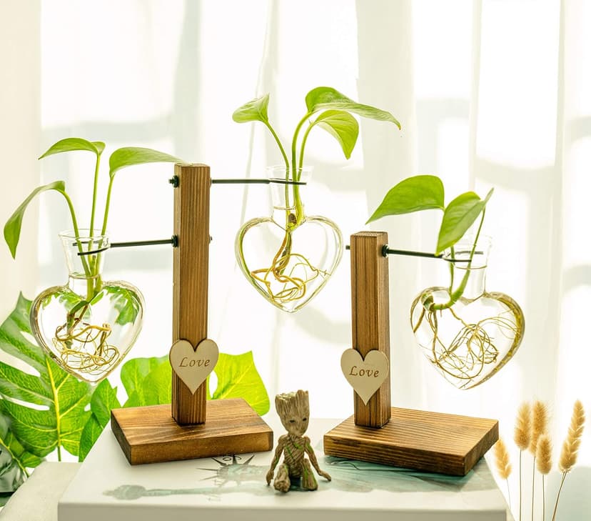 Kingbuy Hydroponic Glass Vase Vintage Desktop Plant Terrarium Planter Bulb Vase Water Planting Propagation Vase Planters Hydroponics Plants with Retro Wooden Stand Home Garden. (E（2 Heart Vase）)