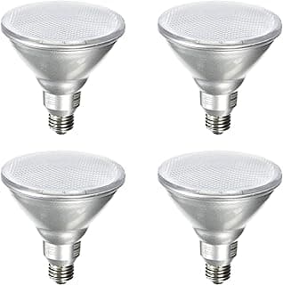 Xtricity LED PAR38 Dimmable Flood Light Bulb, 18.5W (100W Equivalent), Waterproof, 1400 Lumens, 5000k Day Light, 120V, Indoor/Outdoor, Energy Star Certified, UL Listed (4 Pack)