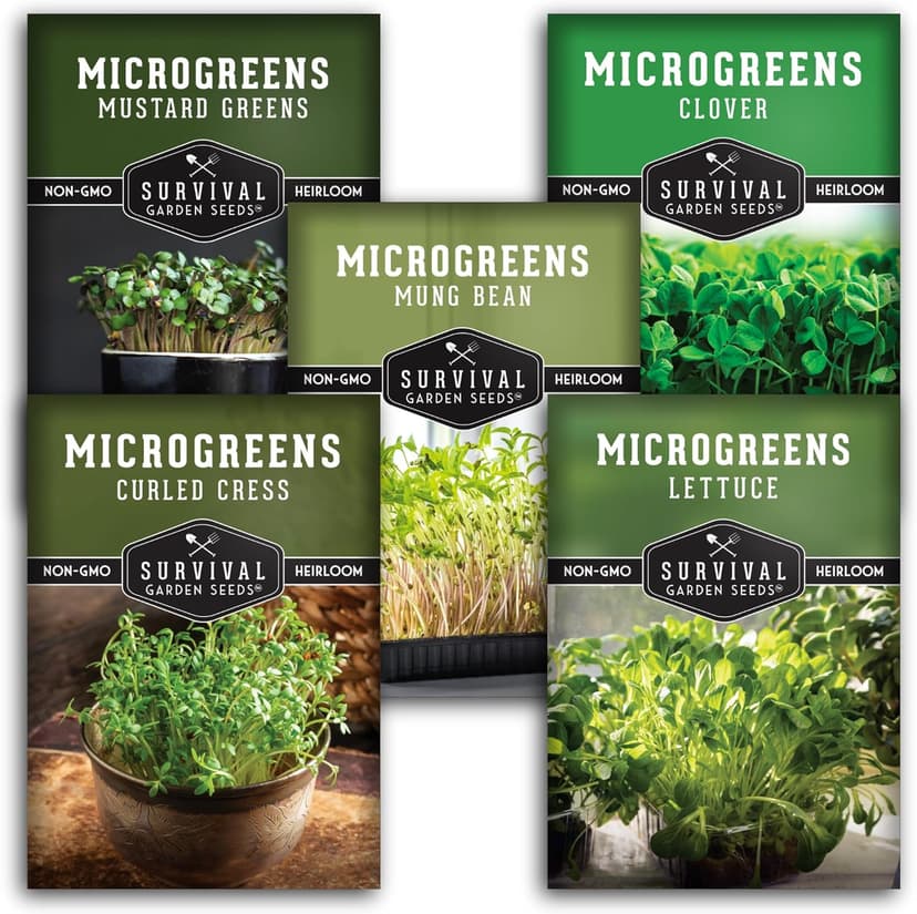 Survival Garden Seeds Microgreens 5 Pack (Seeds Only) - Plant, Sprout, and Grow a Mix of Microgreen Plants in Your Kitchen or on Your Windowsill - Lettuce, Curled Cress, Mung Bean, Mustard, Clover