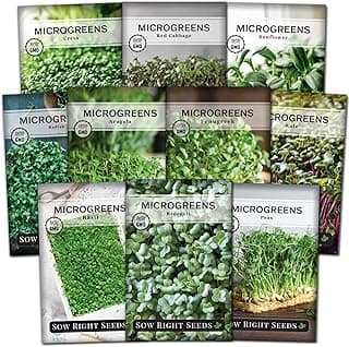 Sow Right Seeds - Microgreens Seed Sample Pack - 10 Packets of Healthy Superfoods to Sprout and Grow Indoors on Your Kitchen Counter - Broccoli, Cress, Sunflower, Arugula, Kale, Radish, Pea, and More