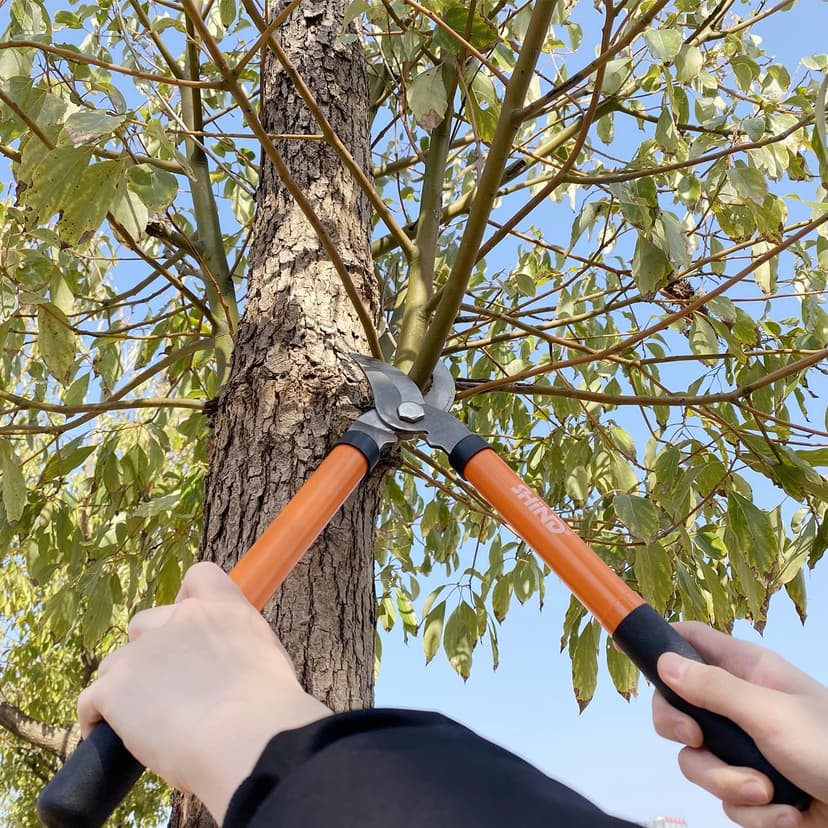 SHIND Bypass Lopper Lightweight and durable garden Clippers and Manual heavy-duty trimmer Set, Strength Saving Hardwearing Garden Shears Suitable for potted plant, flower, branch trimming up to 380mm